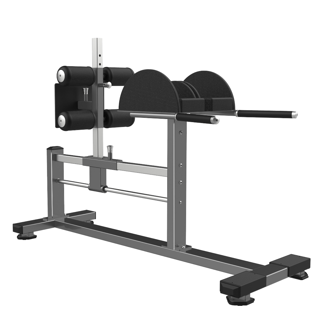 FW-2029 Glute Ham Raise