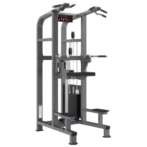 PF-1008 Chin Dip Assist