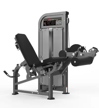 PF-1007 Leg Curl-Leg Extension
