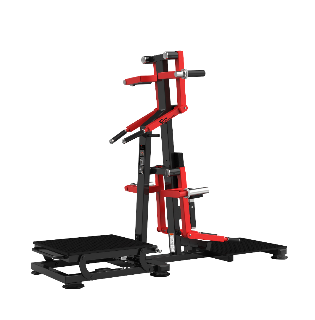 RS-1050 Standing Lateral Rise Rear Deltoid